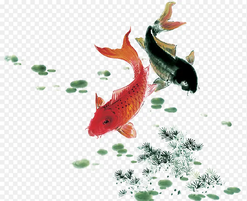 手绘鲈鱼创意插画