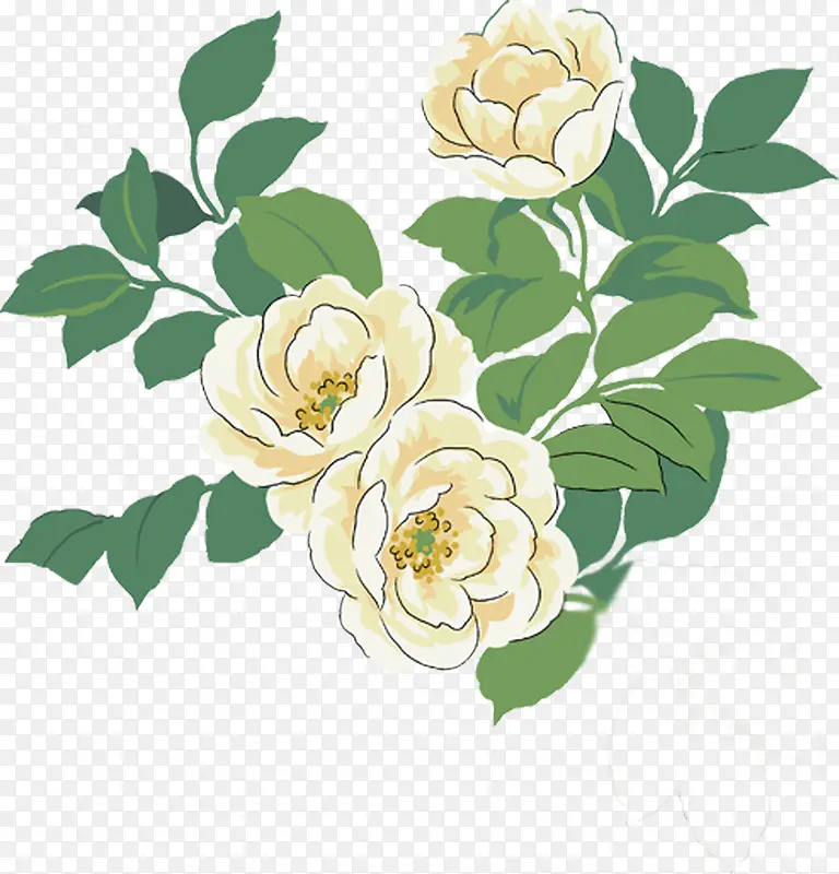 手绘白玫瑰海报设计