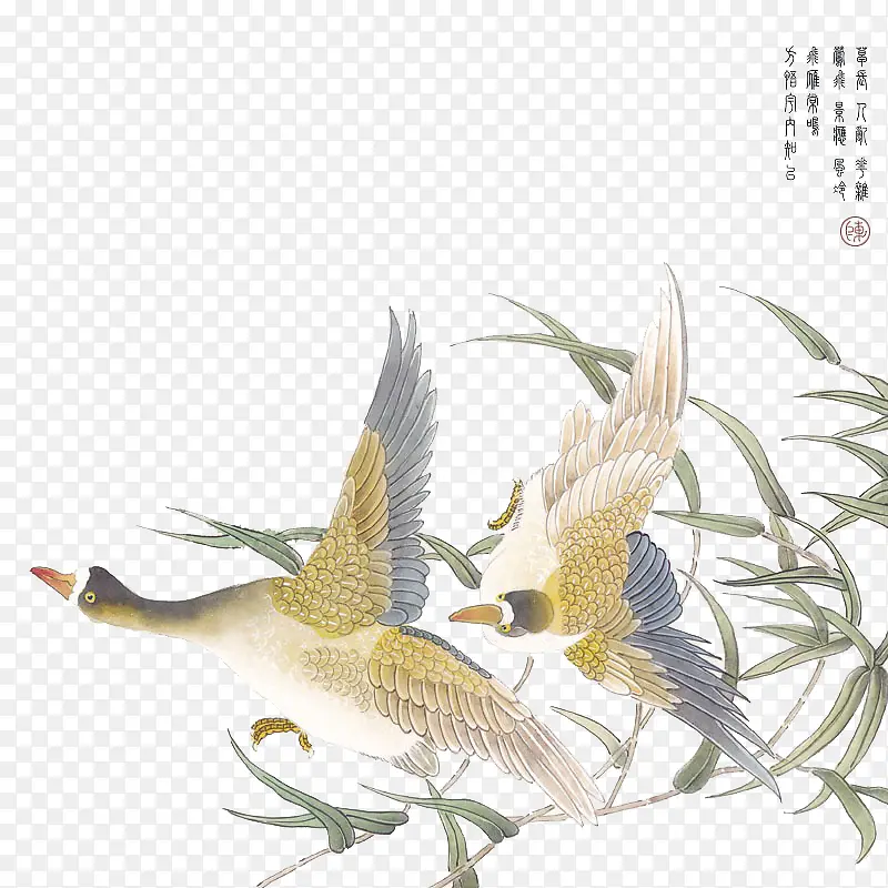 水彩中国风水鸭子