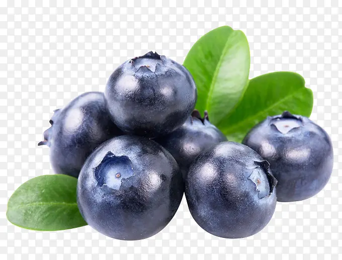 高清摄影新鲜的蓝莓