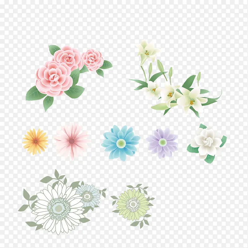 矢量蜡菊和花