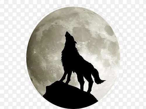 狼与月