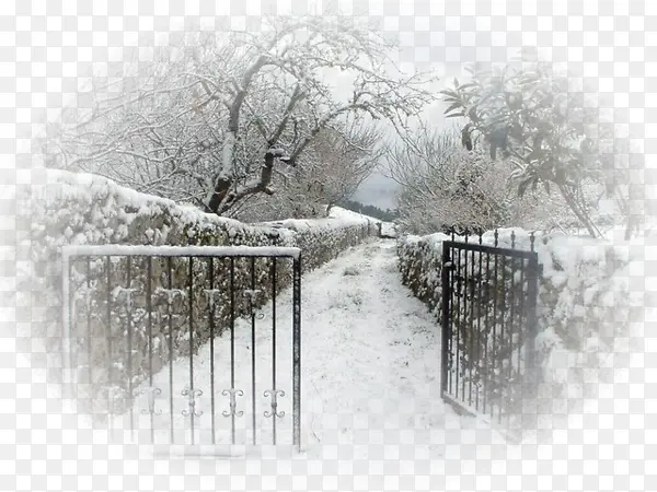 小巷雪景 铁门
