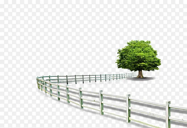 围栏与树