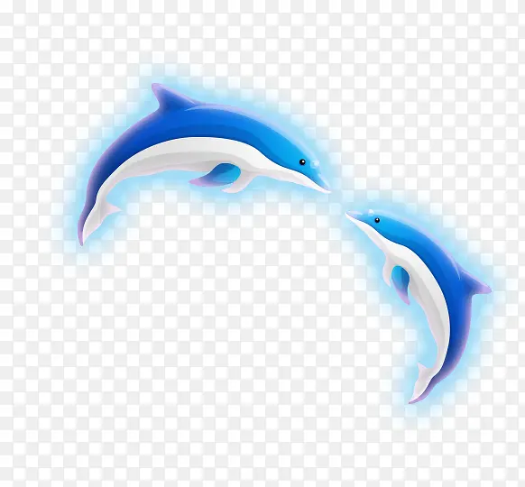 蓝光海豚