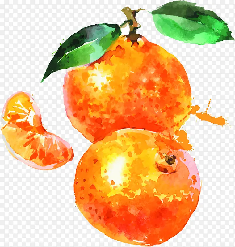 橘子手绘水彩设计