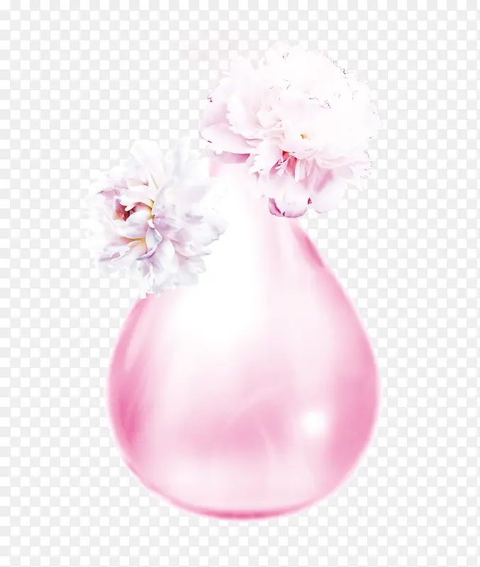 白芍