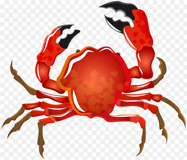 手绘红壳大螃蟹