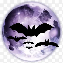 Full Moon满月蝙蝠