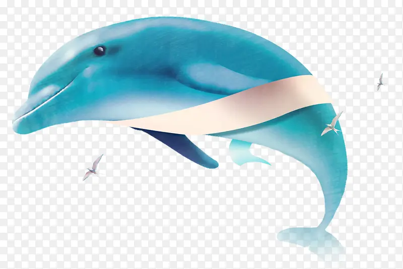 创意海豚