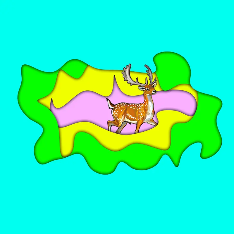 鹿，多层，相册
