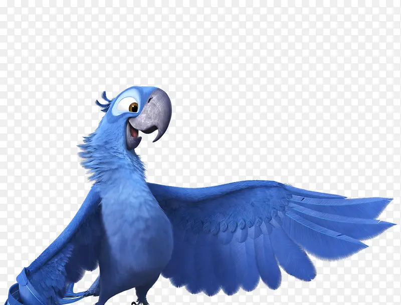 蓝色炫彩鹦鹉学舌