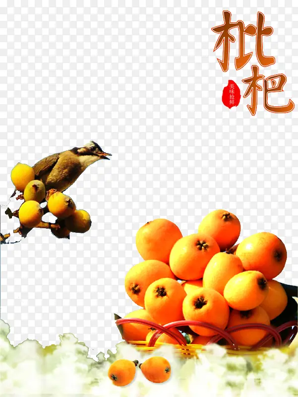 枇杷水果与鸟