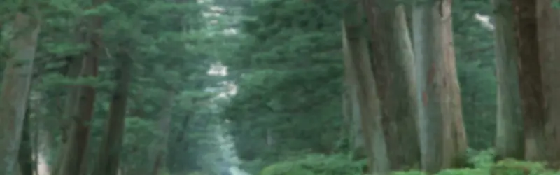 自然背景