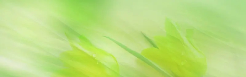 自然背景