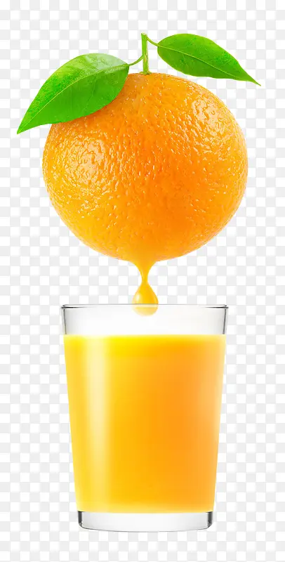 高清橘子水果素材
