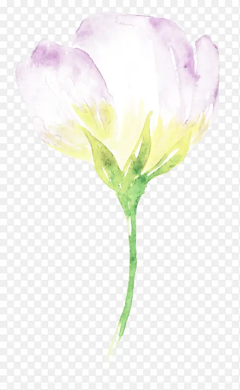 紫韵陌上花开