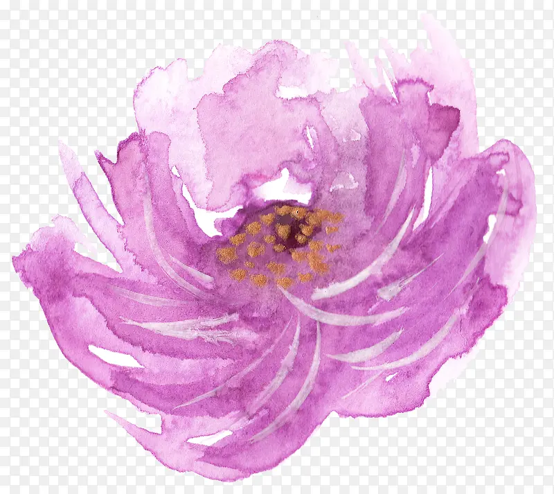 紫色色玫瑰花