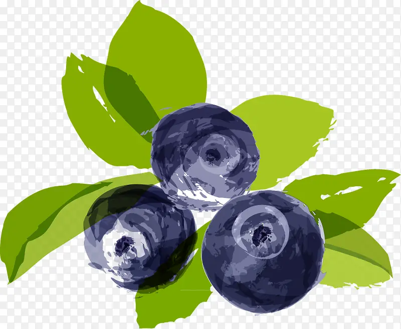 蓝莓PNG矢量素材