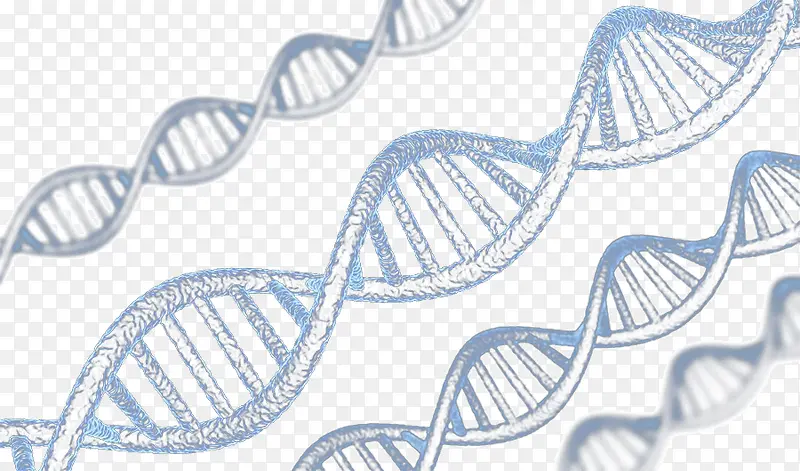 DNA螺旋2