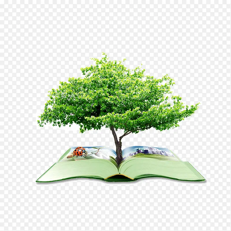 绿色书籍教会我们环保