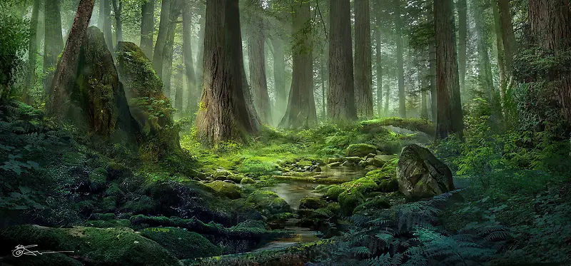 梦幻童话森林背景素材