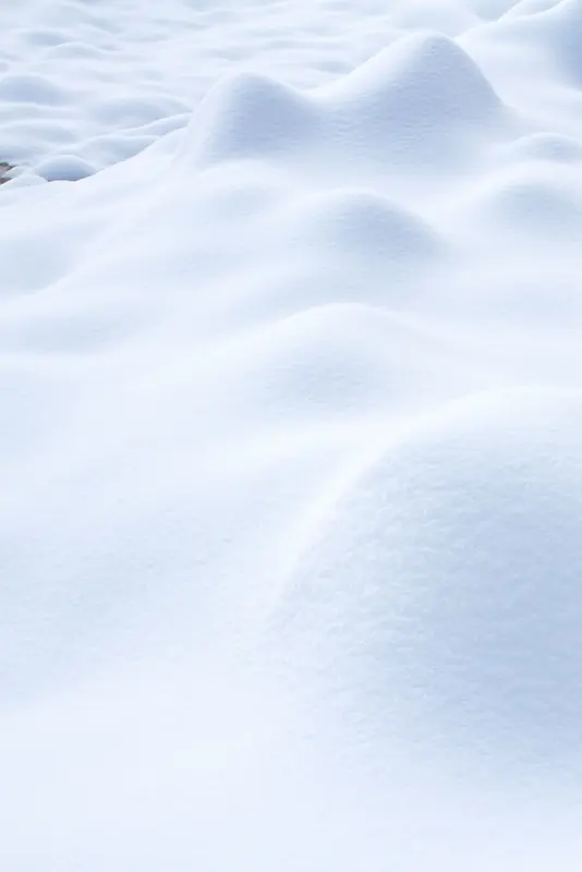 白茫茫的雪地