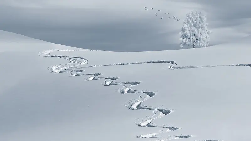 冬天雪景脚印