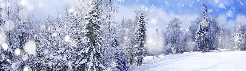 雪景浪漫冬季海报banner背景