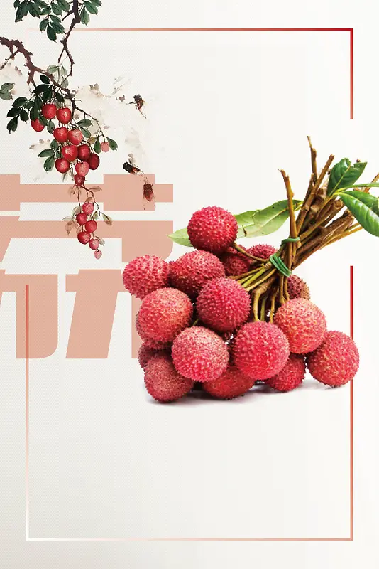 荔枝水果夏日清凉海报背景素材