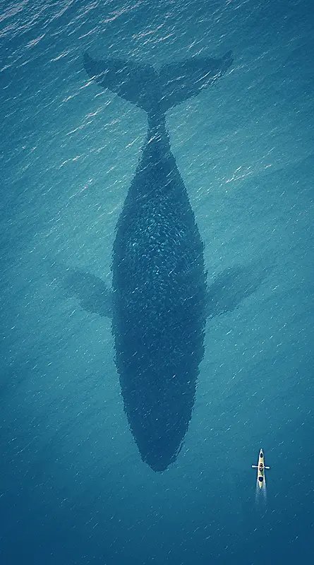 蓝色海洋鲸鱼简约清新背景