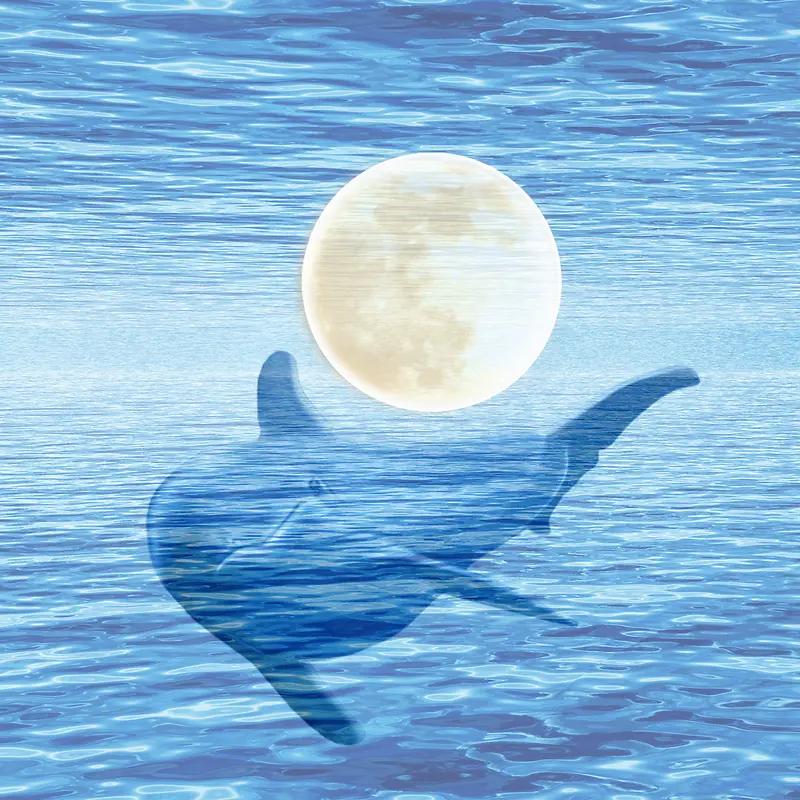 鲸鱼海上戏水
