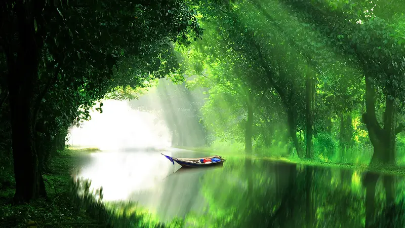 朦胧光 湖面 小船 树林 风景