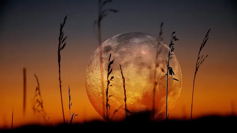 月亮  夕阳 背景 高清