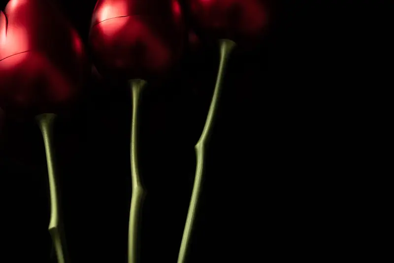 黑色红金属玫瑰2
