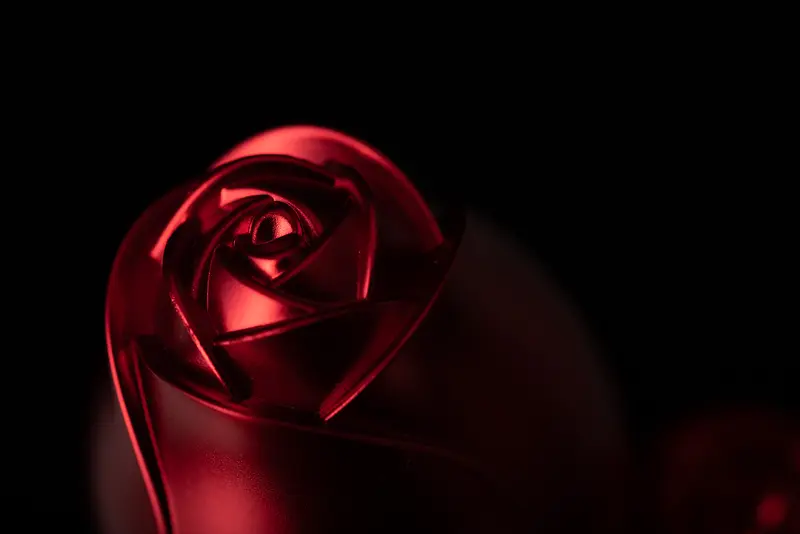 黑色红金属玫瑰