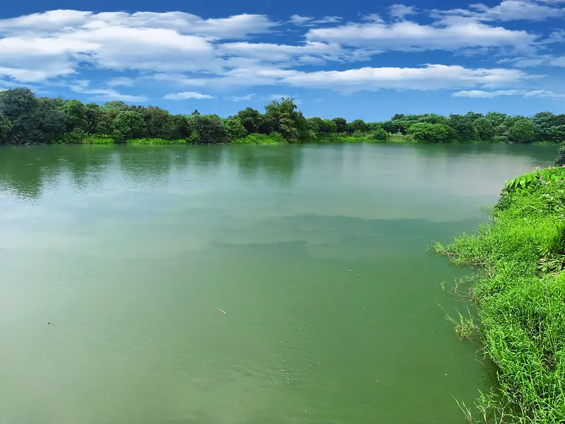 风景素材背景