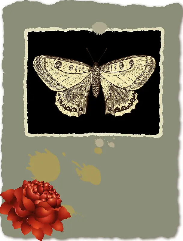 照片蝴蝶复古做旧撕页撕痕纸张玫瑰海报背景