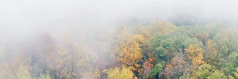 秋季，落叶，风景，摄影40