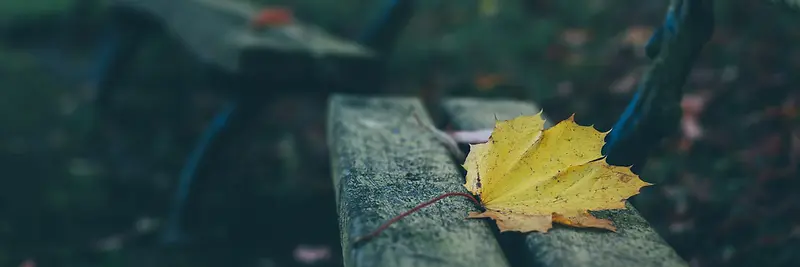 秋季，落叶，美景，摄影7