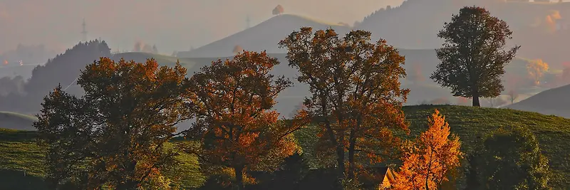 秋季，落叶，美景，摄影11