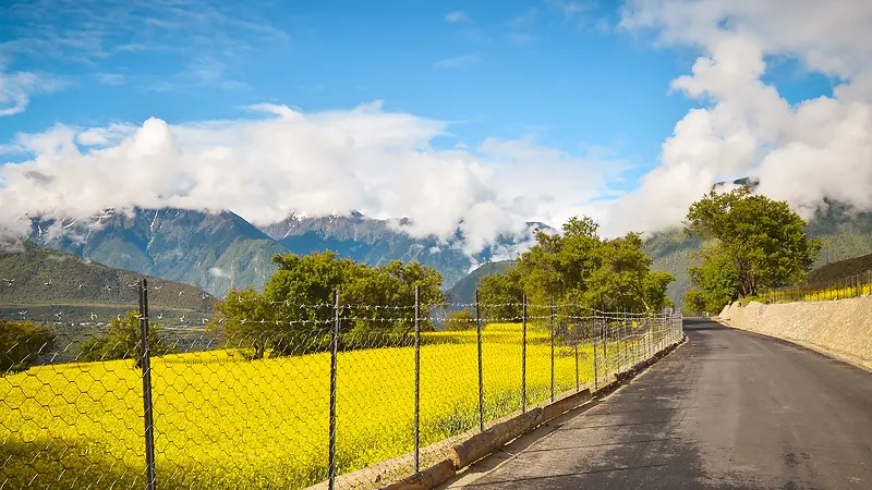 唯美绿色风景