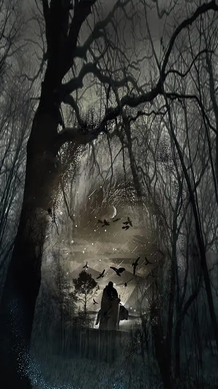 黑暗中森林，很神秘