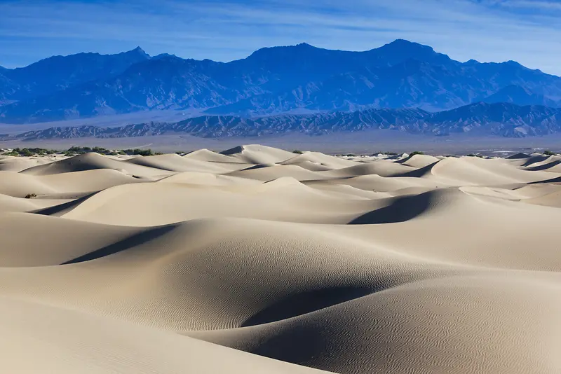 沙丘的美景 背景
