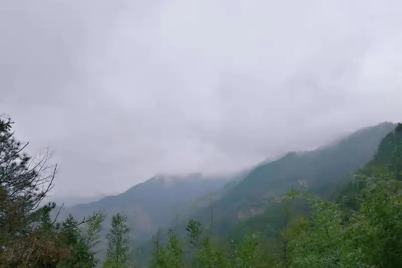 雨雾缭绕 深山