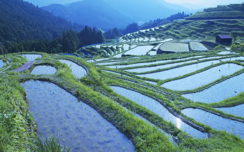 元阳田野素材