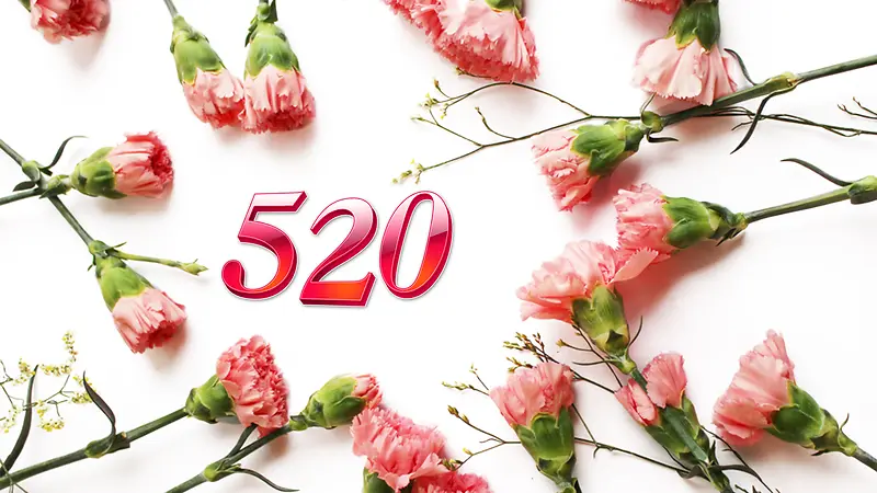 情人节玫瑰520