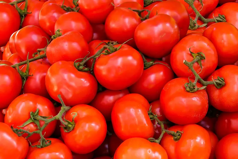 西红柿 蔬菜 红色 食物
