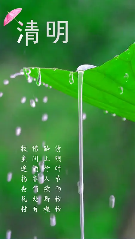 清明时节小雨