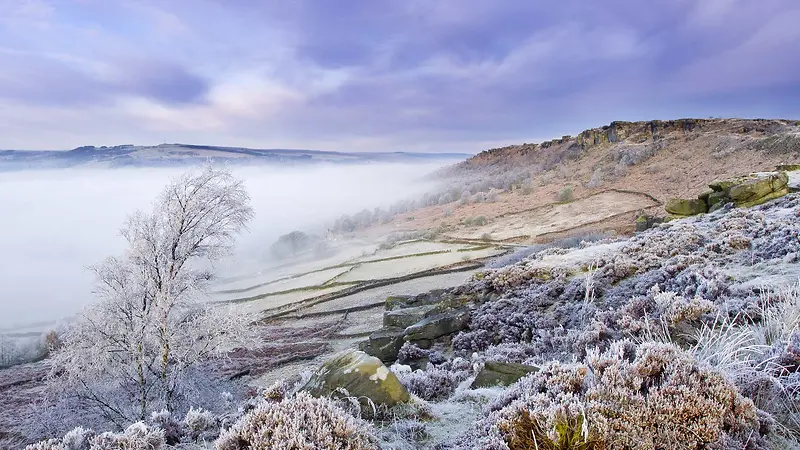 摄影雪地自然风景